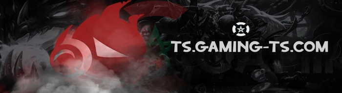 gaming-ts.com banner